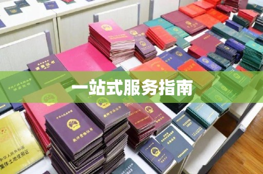灵寿一站式服务指南