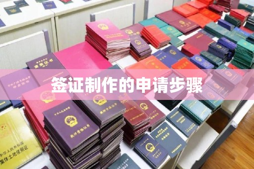 灵寿签证制作的申请步骤