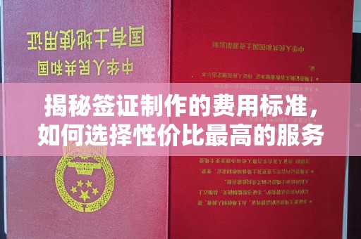 灵寿揭秘签证制作的费用标准，如何选择性价比最高的服务？