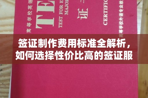 灵寿签证制作费用标准全解析，如何选择性价比高的签证服务？
