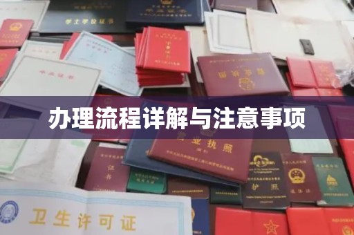 灵寿办理流程详解与注意事项